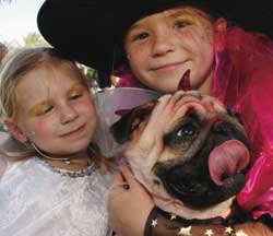 2003 Pet Masquerade photo - Duval Street, Key West